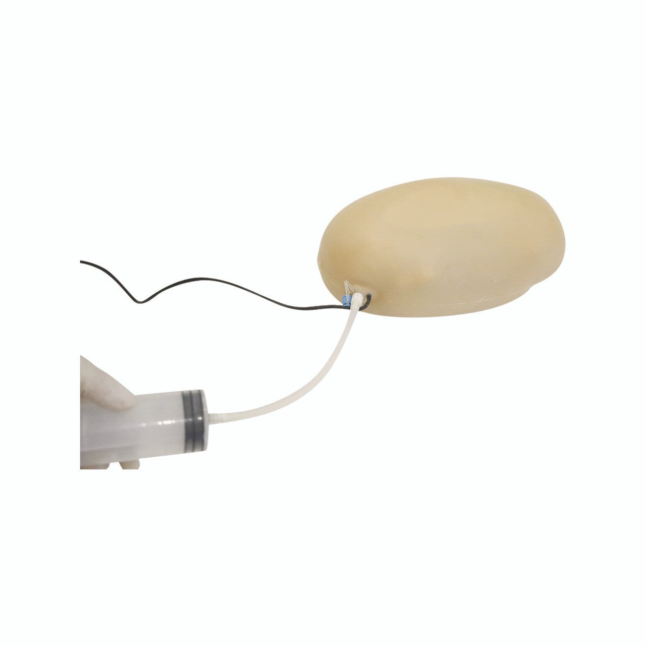 The Anatomy Lab-A-112577 Obstetric Examination Trainer Torso, 1/ea