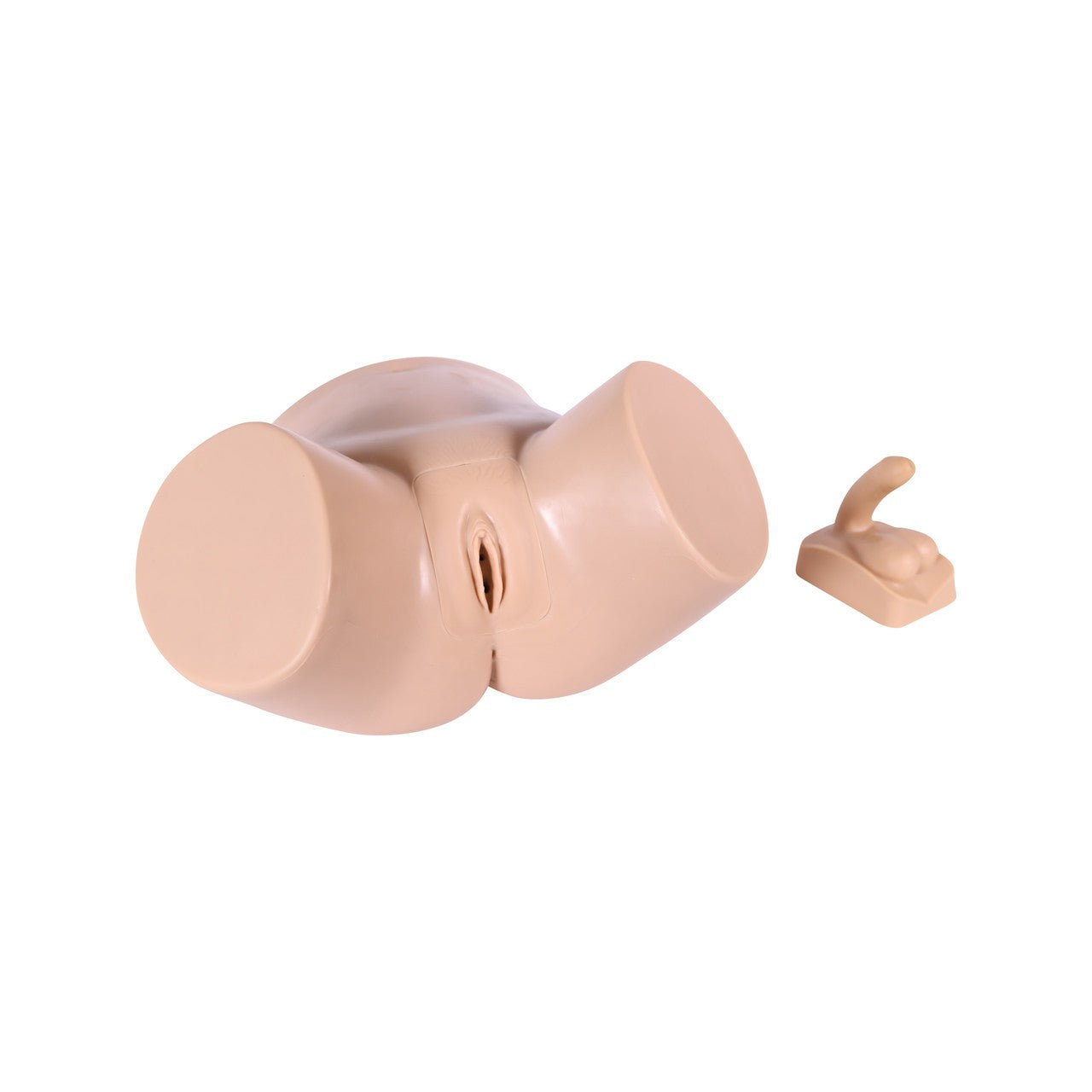 The Anatomy Lab-A-112578 Catheterization Model
