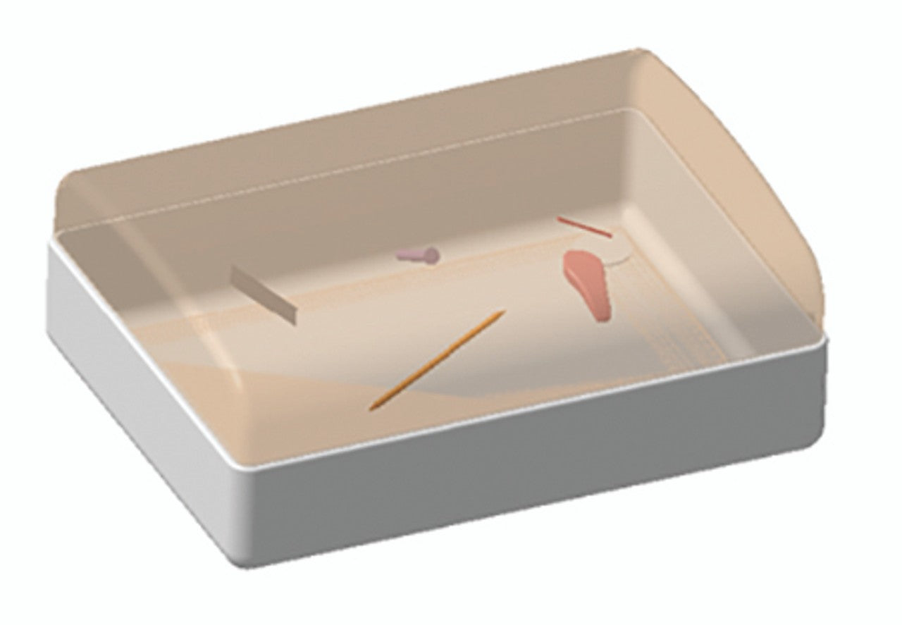 The Anatomy Lab-A-112580 Foreign Body Ultrasound Training Model, 1/ea