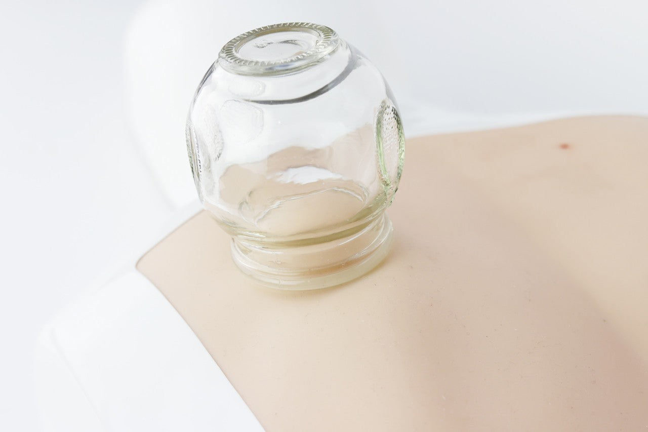 The Anatomy Lab-A-112588 TCM Multi-Skill Task Trainer, 1/ea