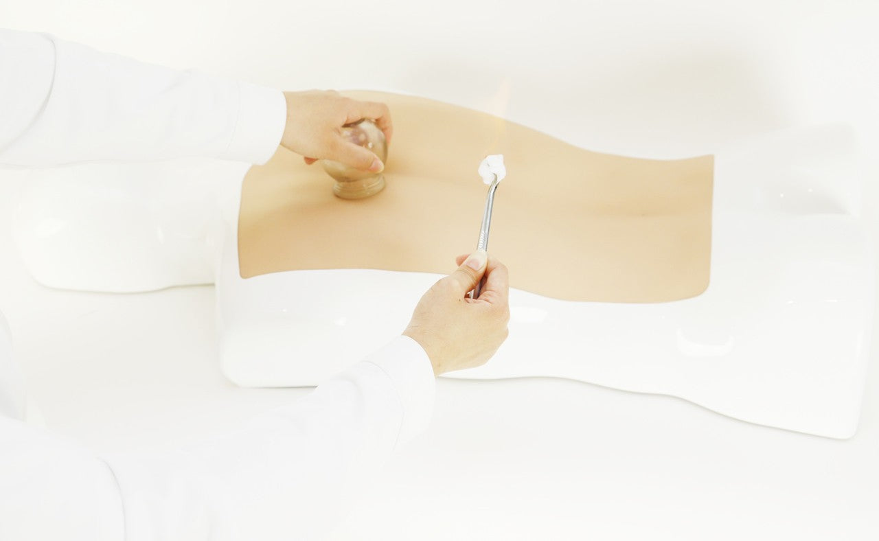 The Anatomy Lab-A-112588 TCM Multi-Skill Task Trainer, 1/ea