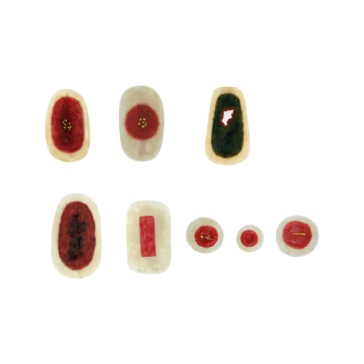 The Anatomy Lab-A-112591 SP Moulage for TCM, 1/ea