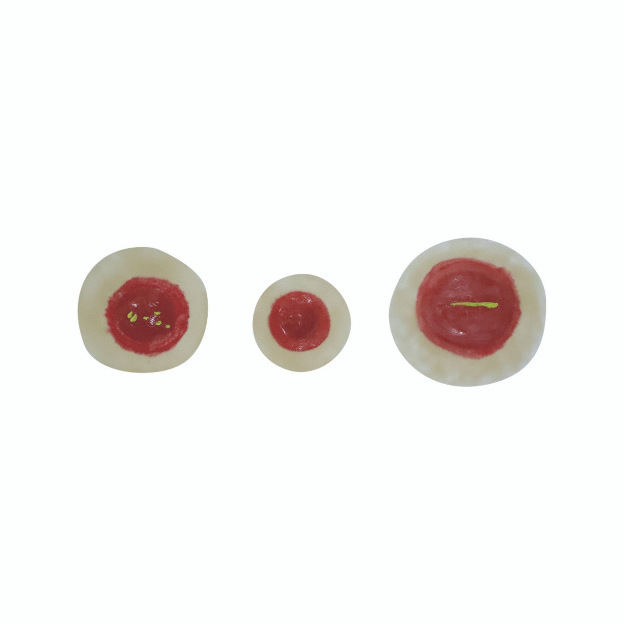 The Anatomy Lab-A-112591 SP Moulage for TCM, 1/ea