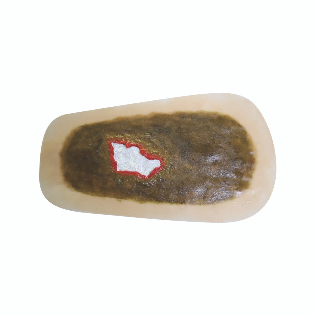 The Anatomy Lab-A-112591 SP Moulage for TCM, 1/ea