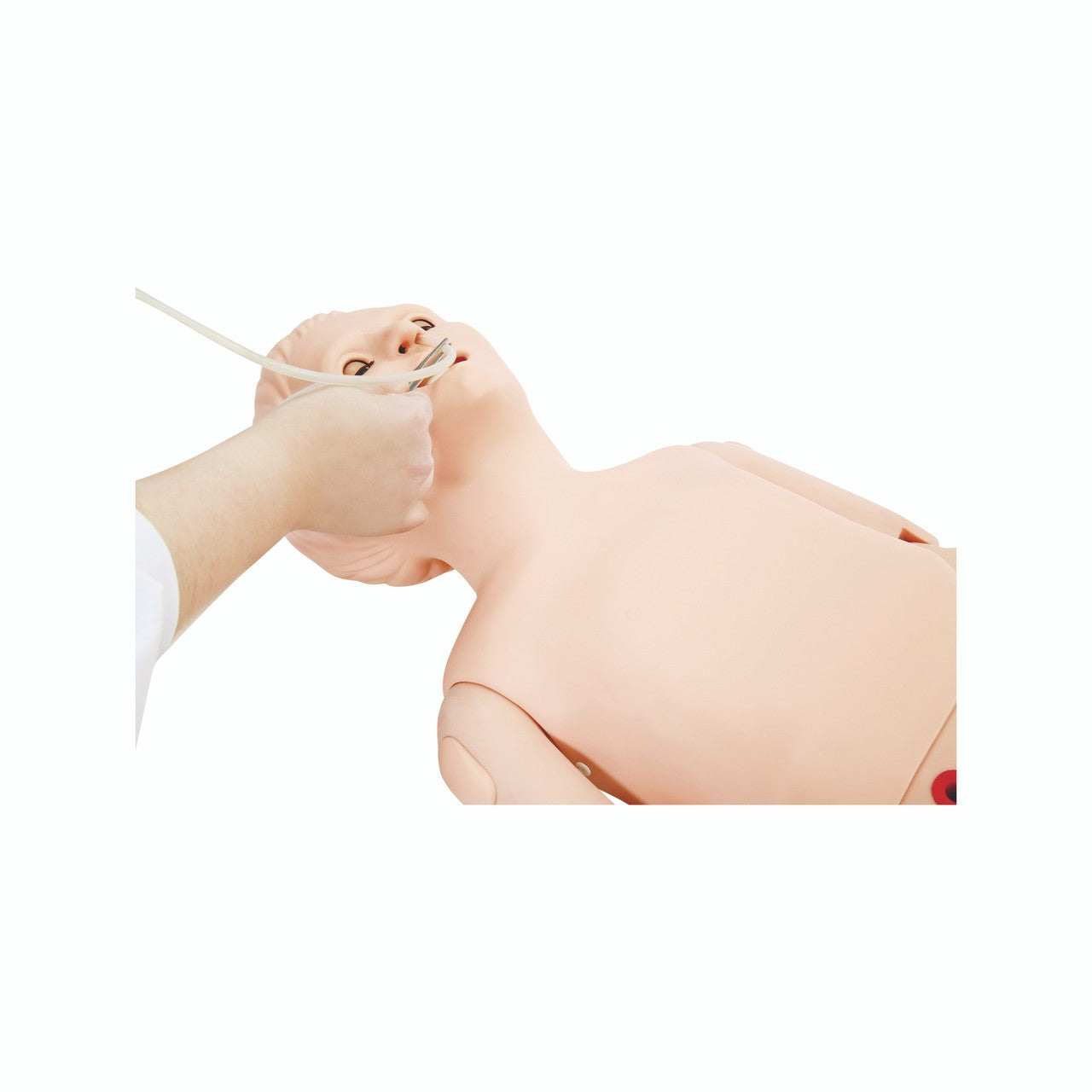 The Anatomy Lab-A-112599 All-Purpose Basic Pediatric Care Simulator, 1/ea