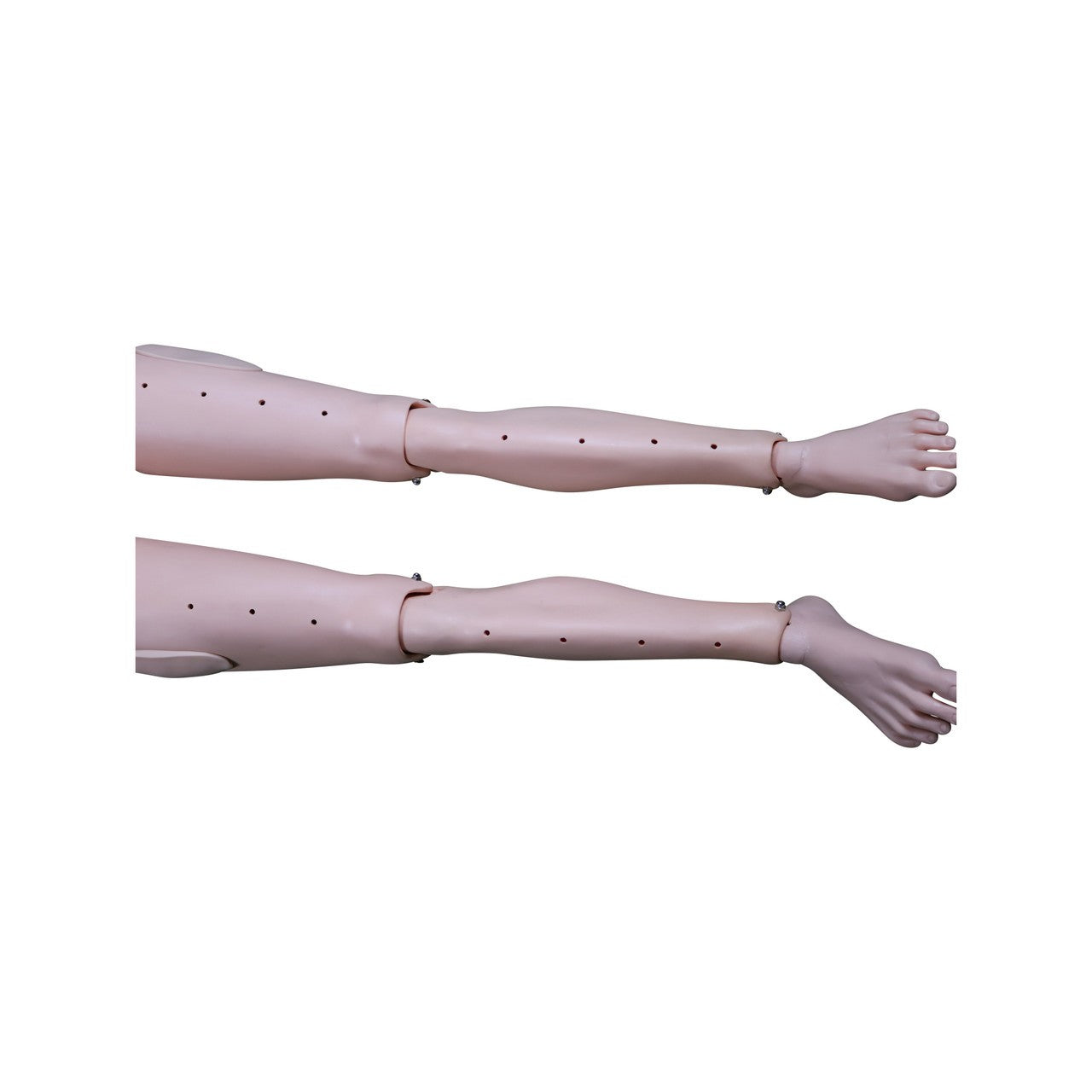 The Anatomy Lab-A-112601 Adult Water Rescue Training System, 1/ea