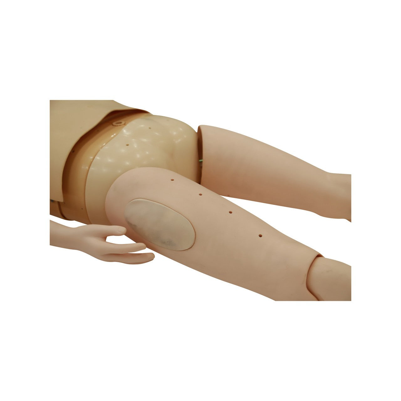 The Anatomy Lab-A-112601 Adult Water Rescue Training System, 1/ea