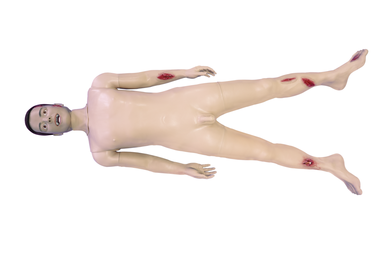 The Anatomy Lab-A-112602 Combat Self-Aid and Buddy-Aid Manikin, 1/ea