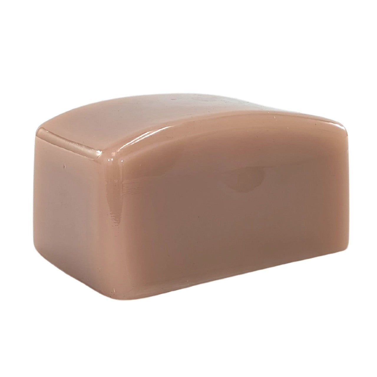 The Anatomy Lab-A-112905 Thyroid Diagnosis Ultrasound Model, 1/EA