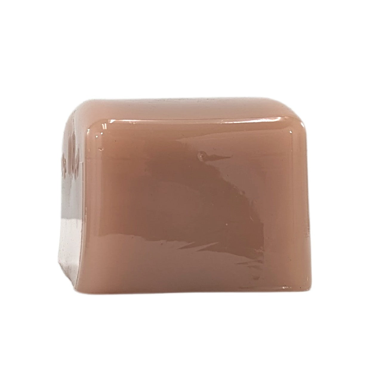 The Anatomy Lab-A-112905 Thyroid Diagnosis Ultrasound Model, 1/EA