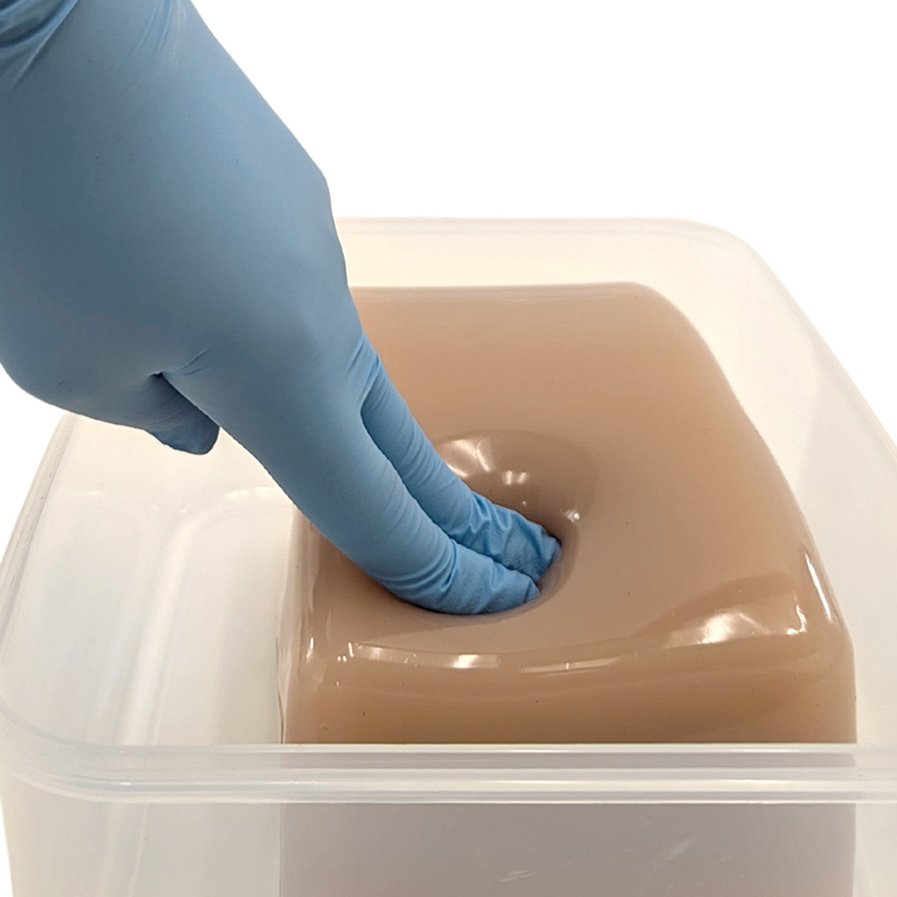 The Anatomy Lab-A-112905 Thyroid Diagnosis Ultrasound Model, 1/EA