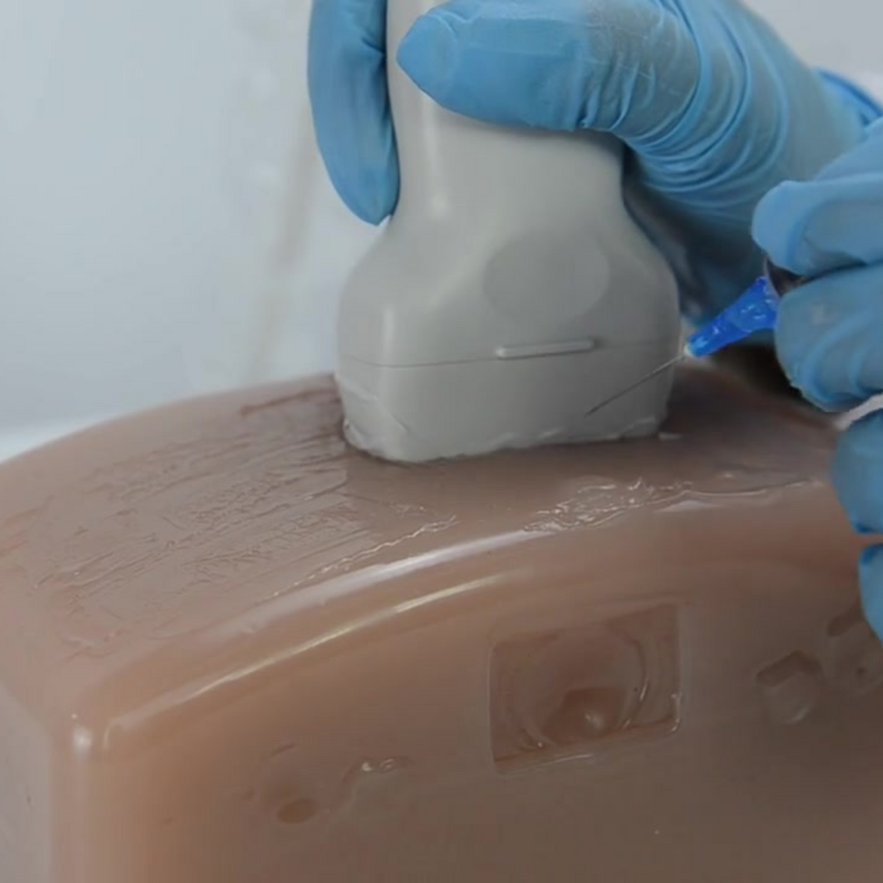 The Anatomy Lab-A-112905 Thyroid Diagnosis Ultrasound Model, 1/EA