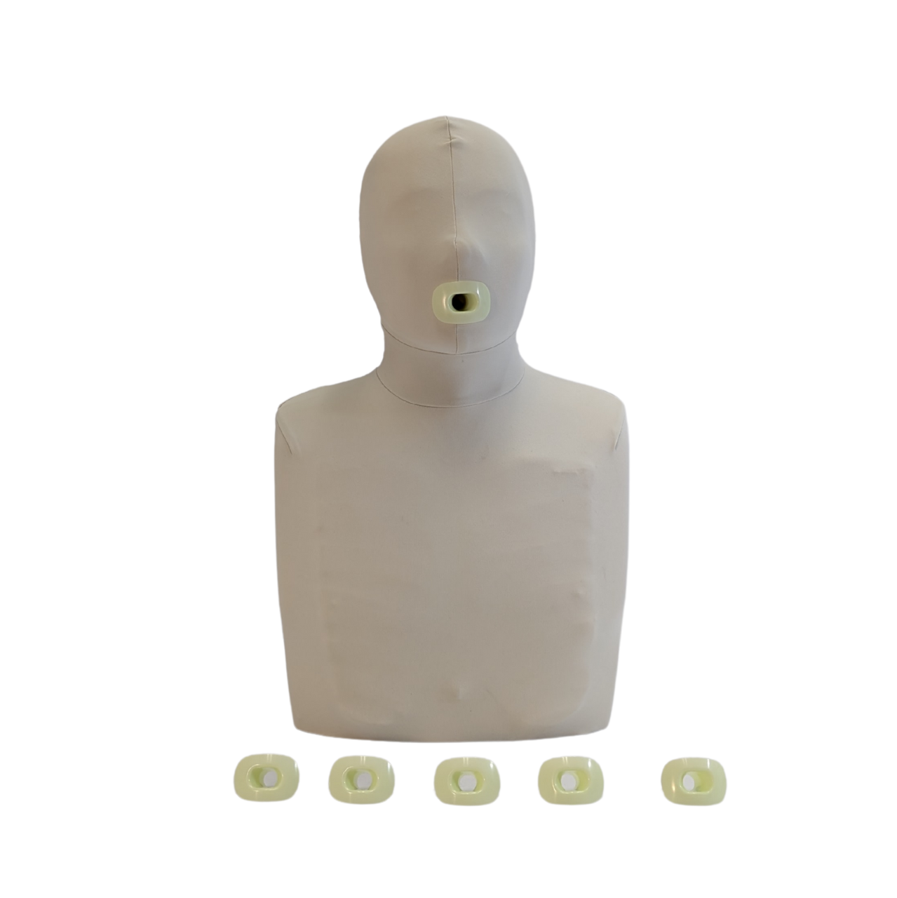 The Anatomy Lab Little Grey CPR Manikin