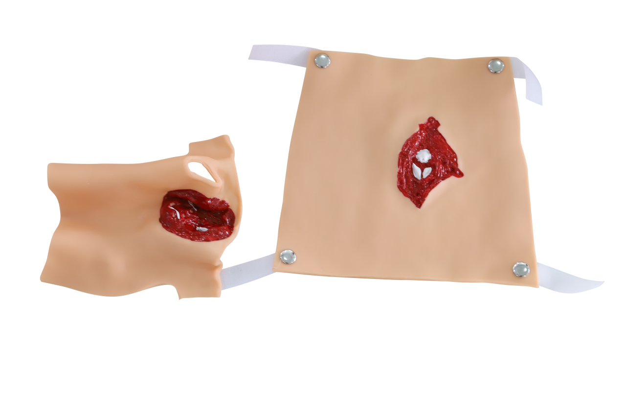 The Anatomy Lab-A-112993 Trauma Manikin, 1/ea