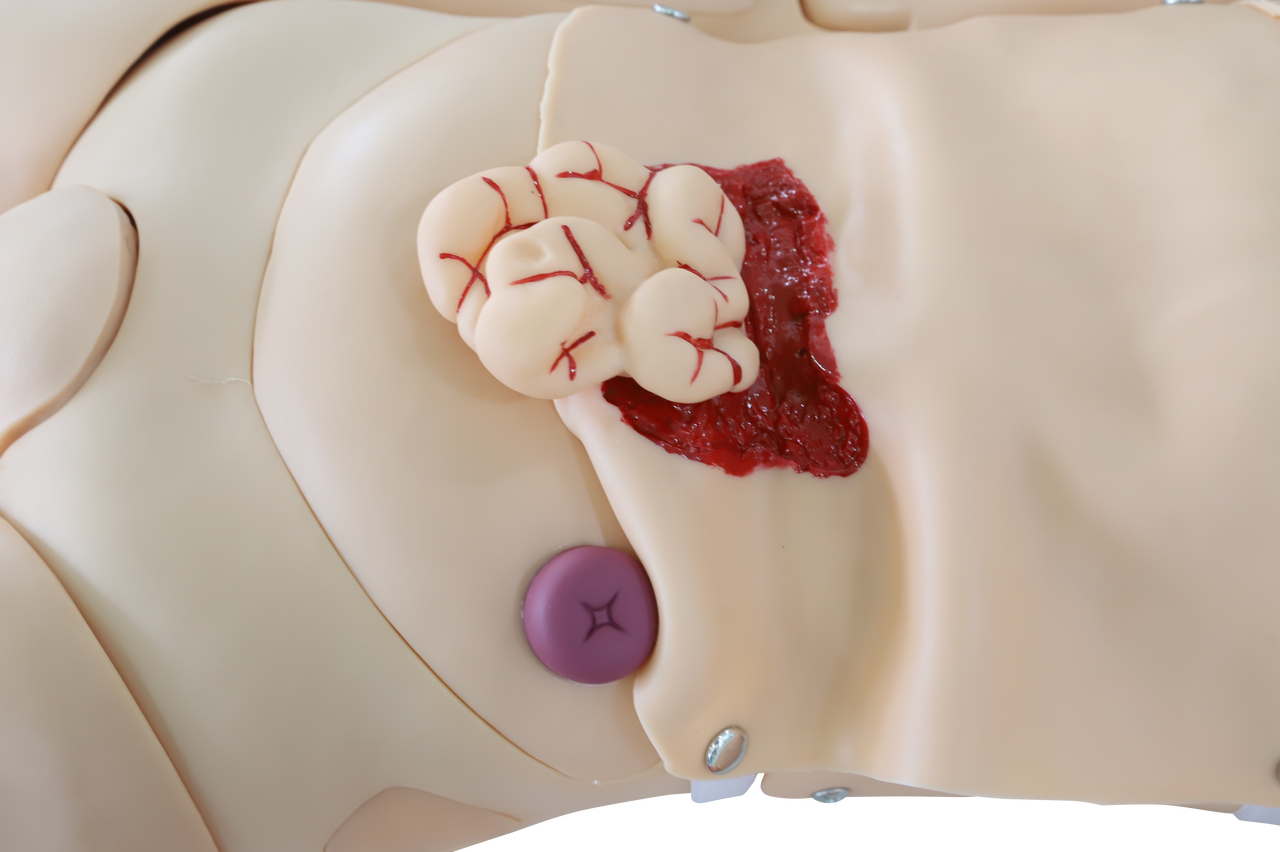 The Anatomy Lab-A-112993 Trauma Manikin, 1/ea