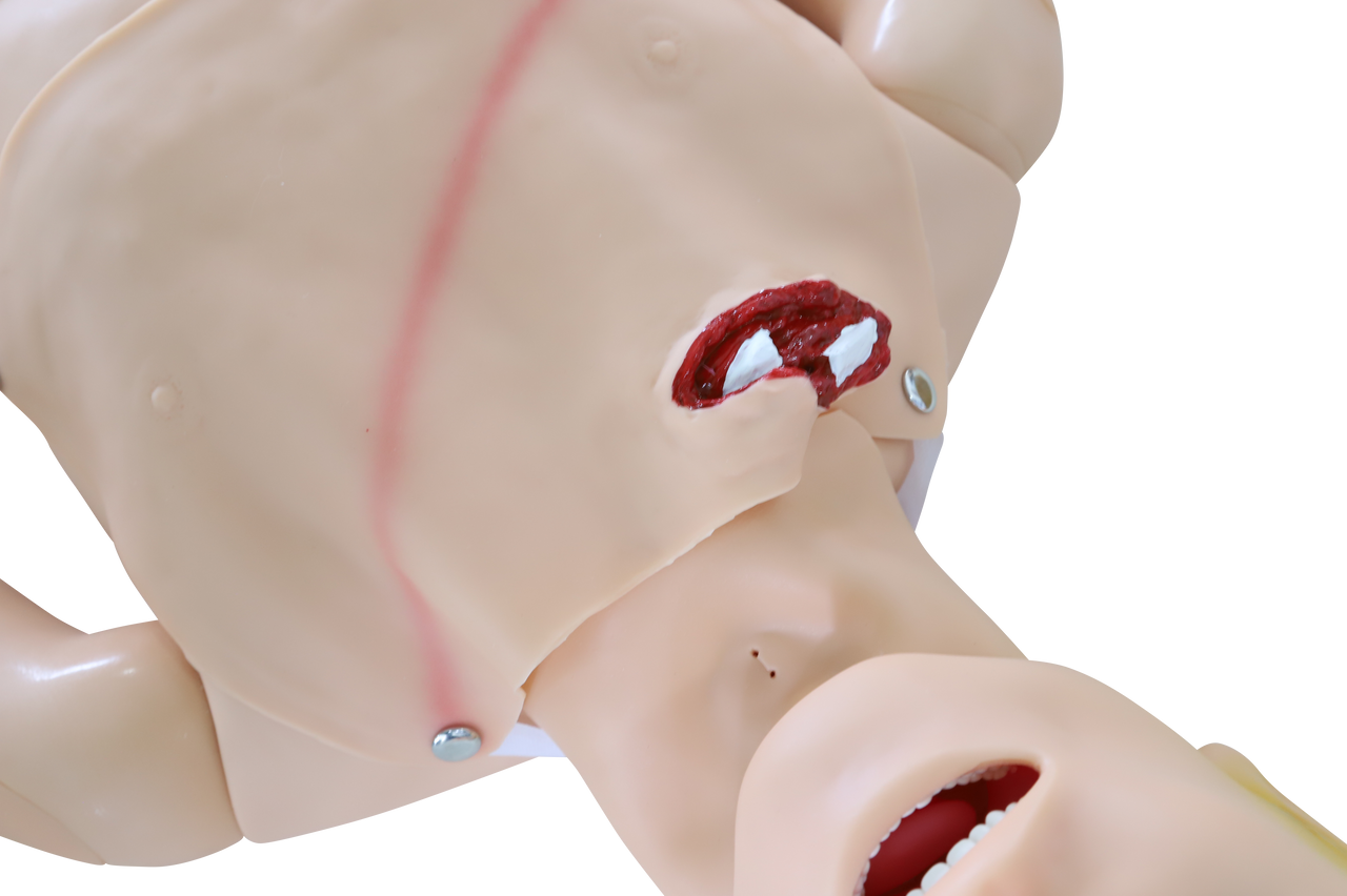 The Anatomy Lab-A-112993 Trauma Manikin, 1/ea