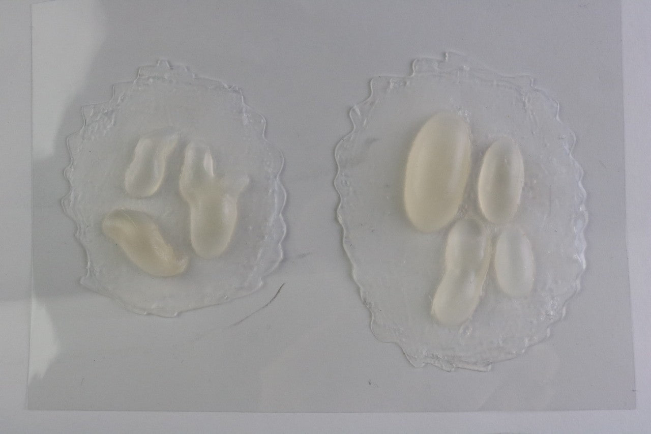 The Anatomy Lab-A-112999 Trauma Wound Moulage Kit, 1/set