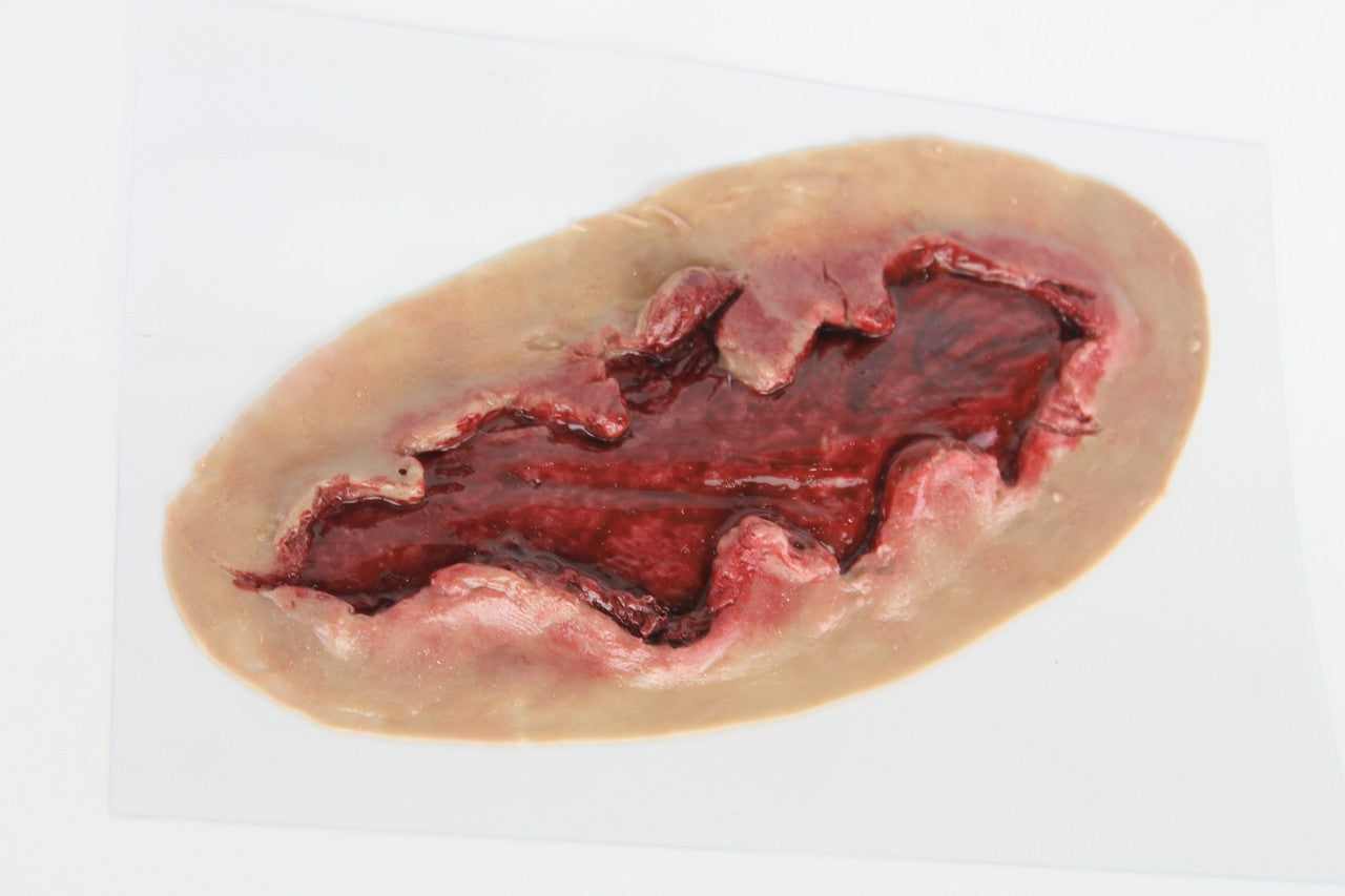 The Anatomy Lab-A-112999 Trauma Wound Moulage Kit, 1/set