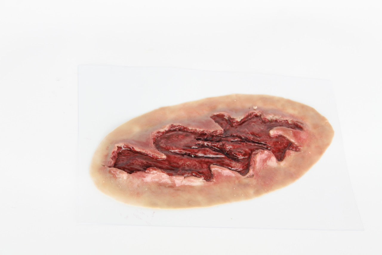 The Anatomy Lab-A-112999 Trauma Wound Moulage Kit, 1/set