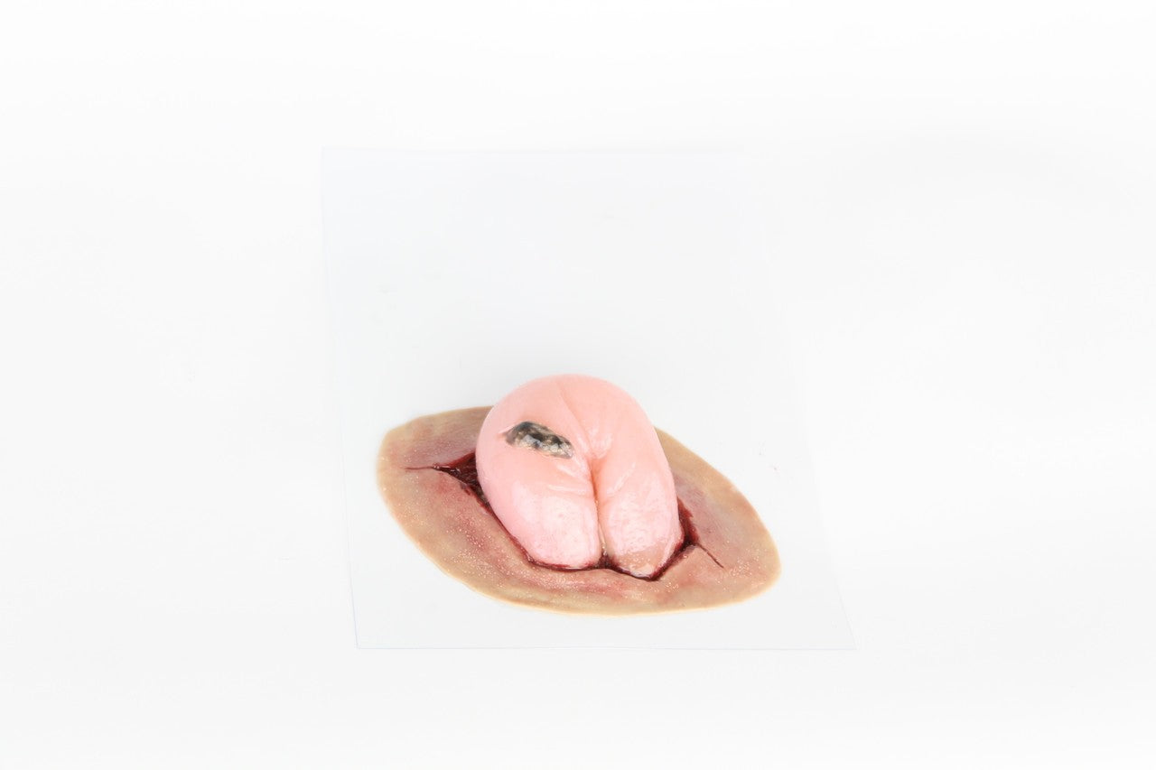 The Anatomy Lab-A-112999 Trauma Wound Moulage Kit, 1/set