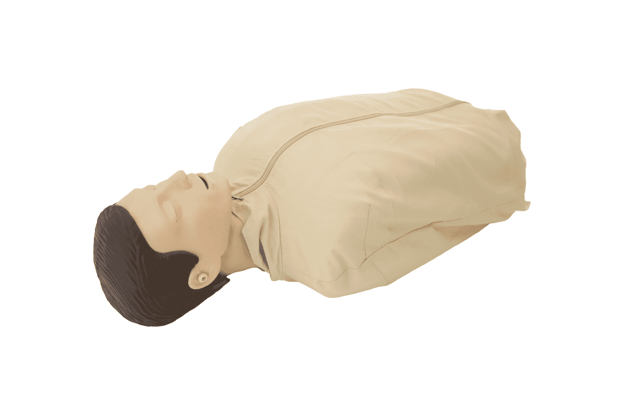 The Anatomy Lab-A-113007 Guardian Basic- 6 Count