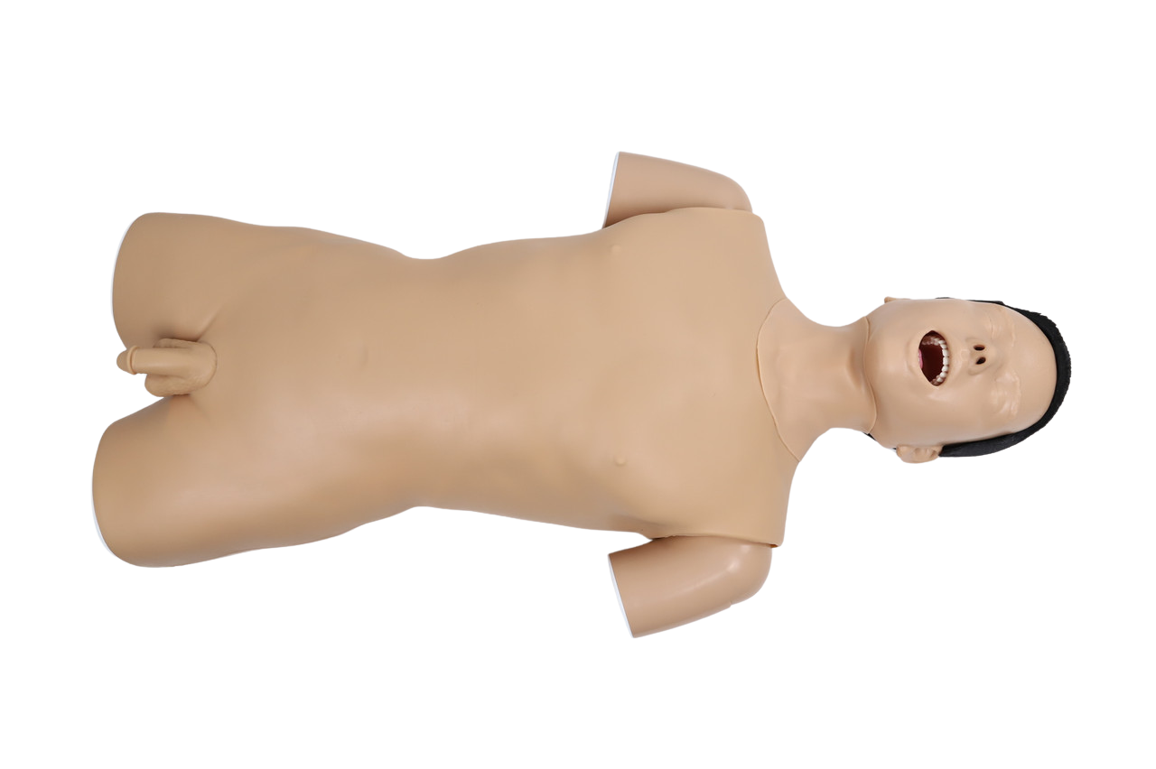 The Anatomy Lab-A-113016 Upper GI Endoscopy Training Model, 1/ea