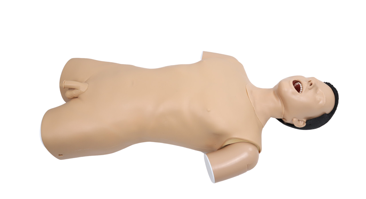 The Anatomy Lab-A-113016 Upper GI Endoscopy Training Model, 1/ea