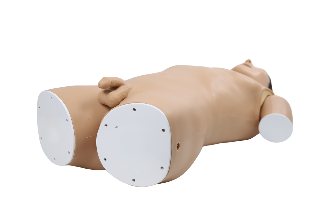 The Anatomy Lab-A-113016 Upper GI Endoscopy Training Model, 1/ea