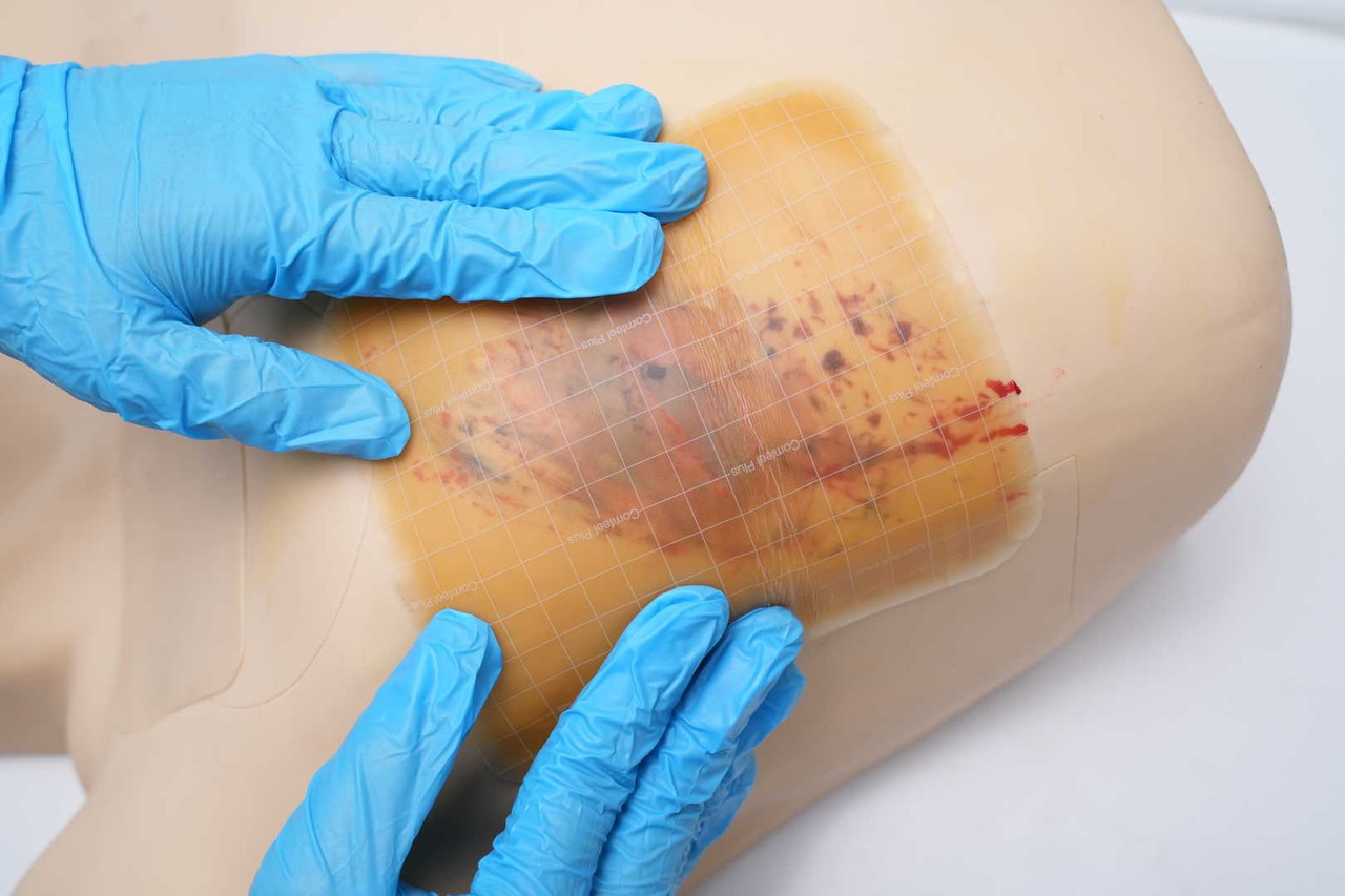 The Anatomy Lab-A-113017 Pneumothorax & Chest Drain Model, 1/ea