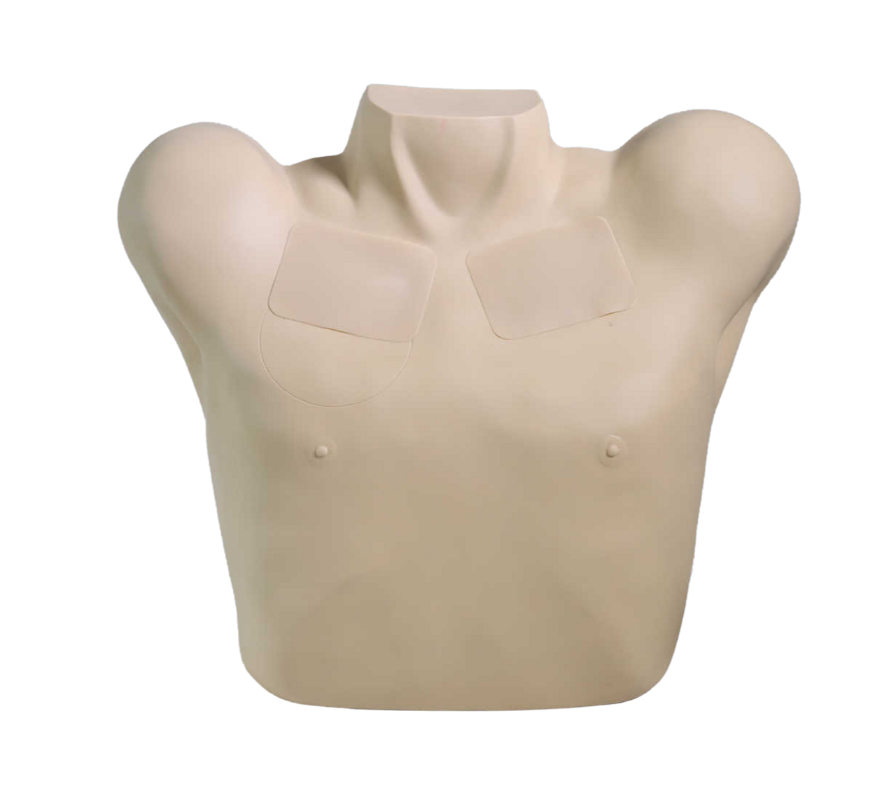 The Anatomy Lab-A-113017 Pneumothorax & Chest Drain Model, 1/ea