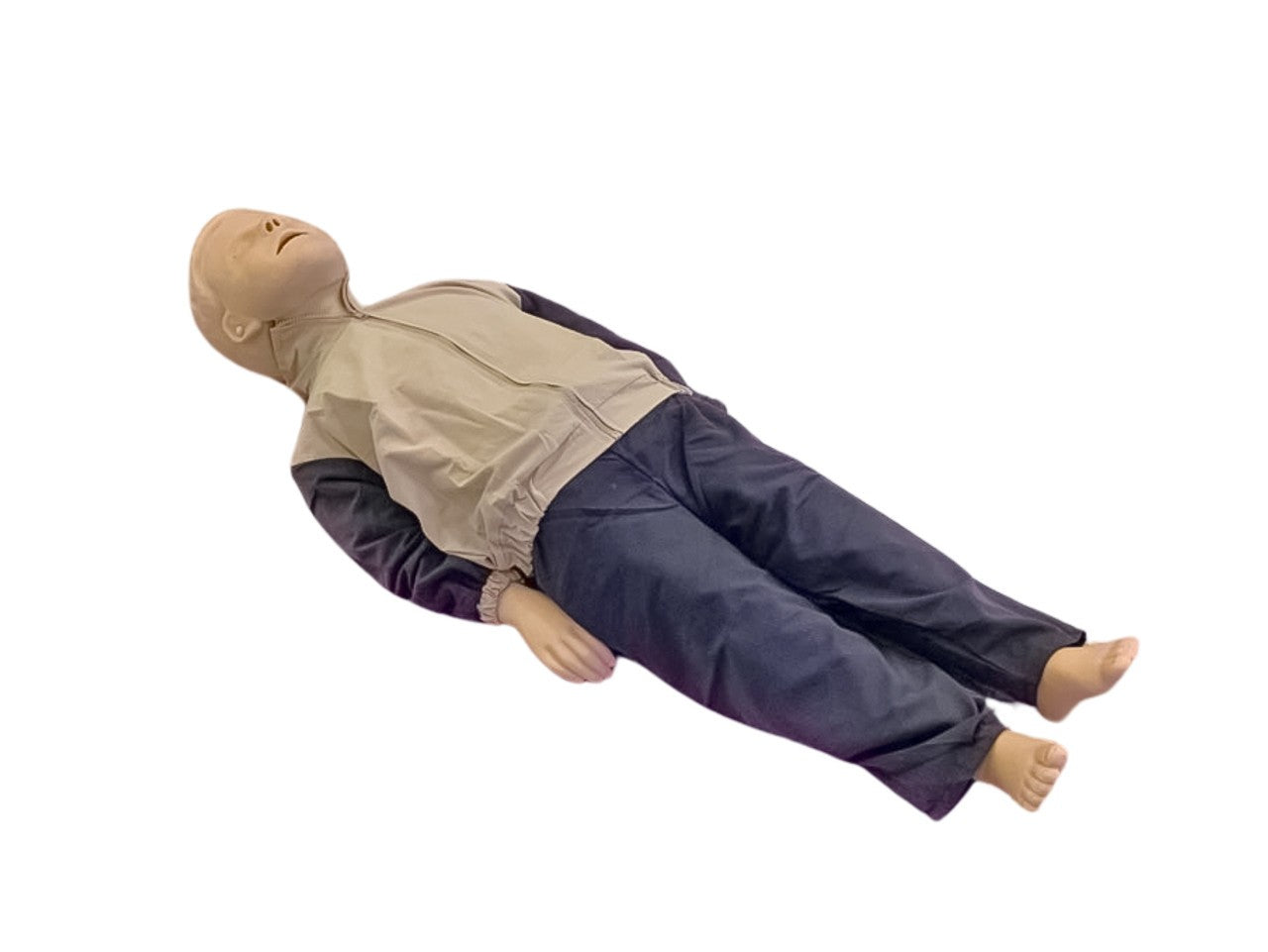 The Anatomy Lab Guardian Child