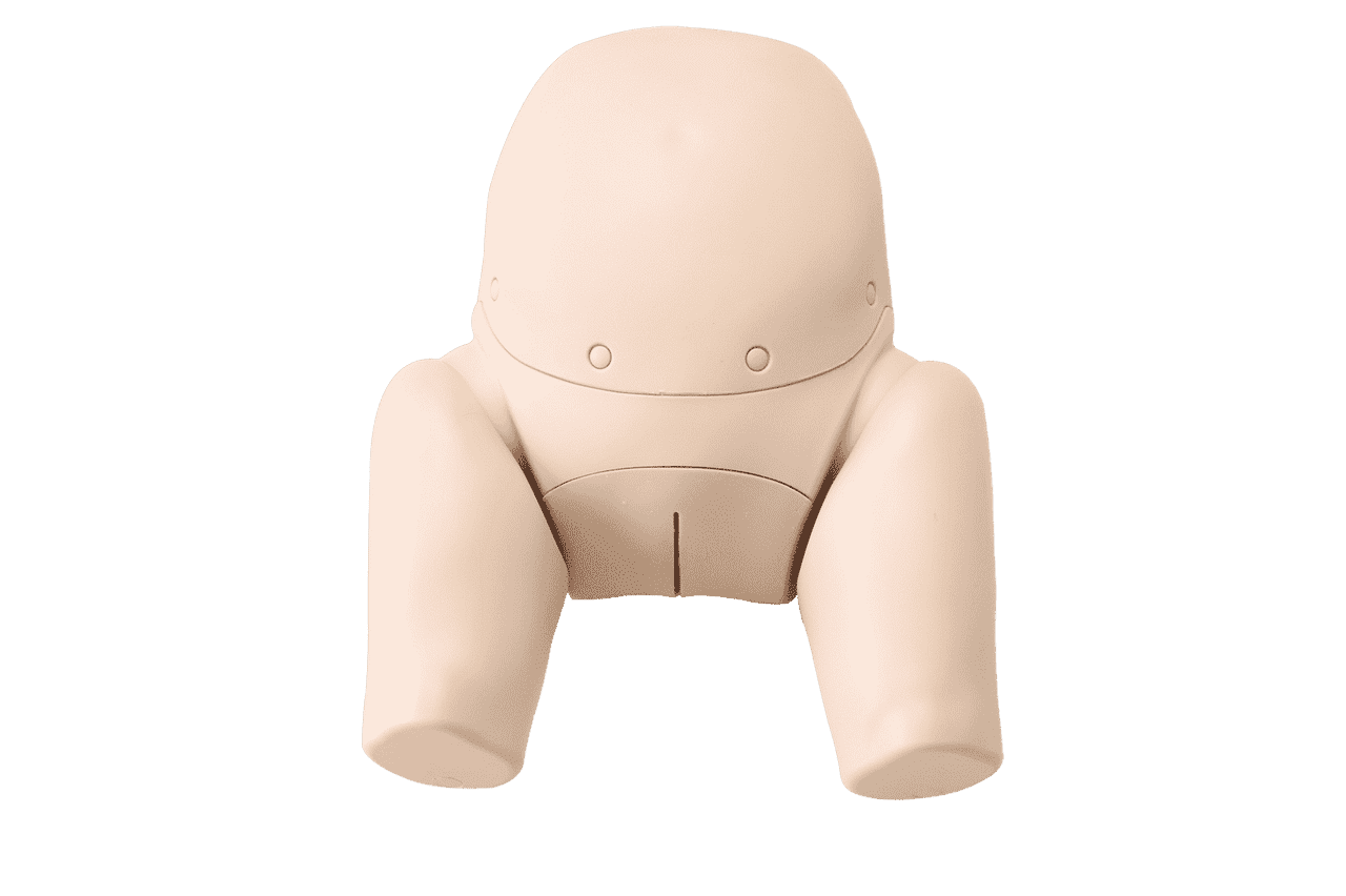 The Anatomy Lab-A-113029 Complete Postpartum Hemorrhage Simulator, 1/ea