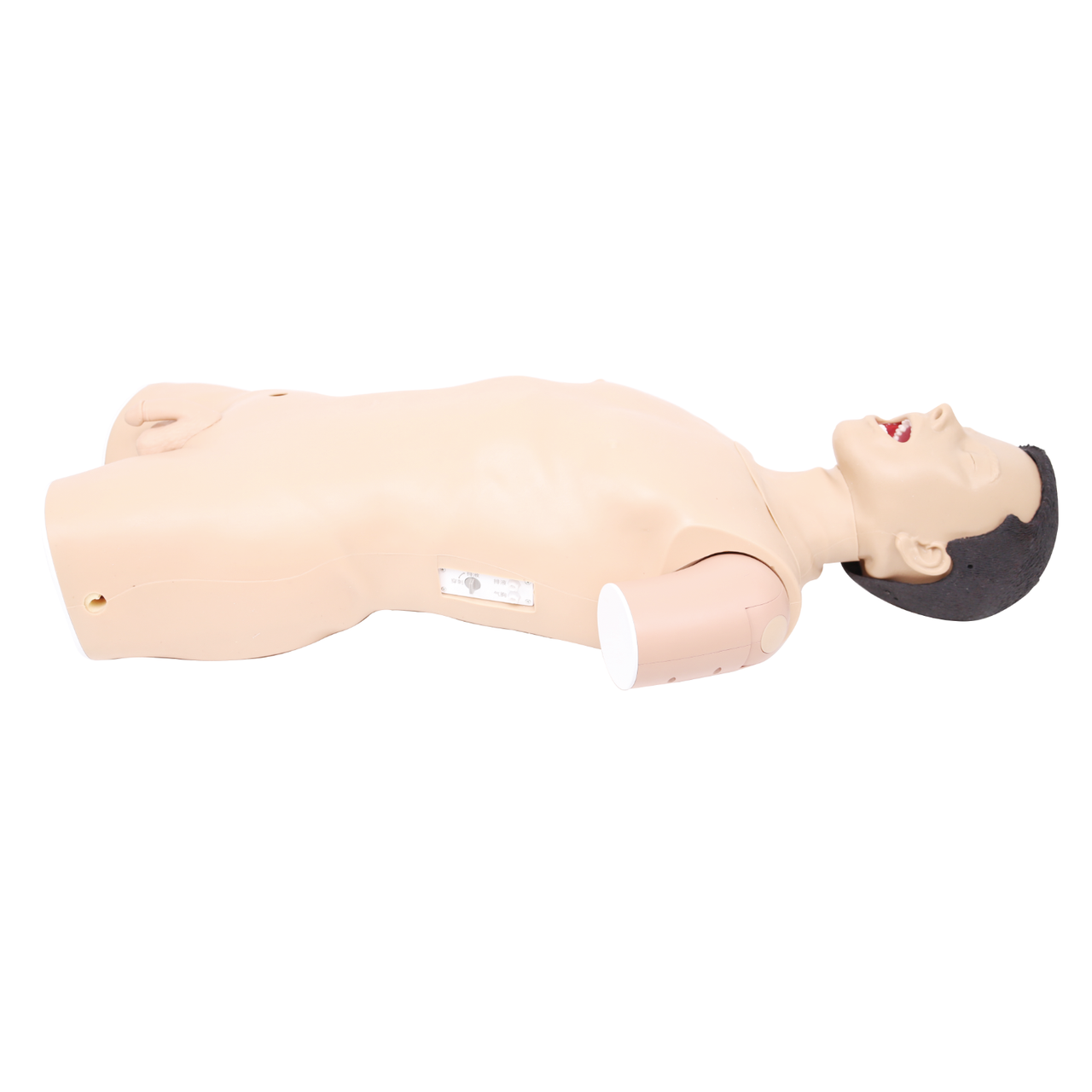 The Anatomy Lab-A-113119 Pneumothorax Percussion and Thoracostomy Catheter Removal Task Trainer