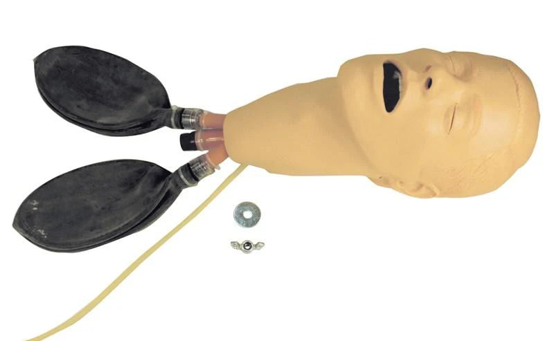 Laerdal-201-00150 Head Intubation W/ Lung (1 EA)