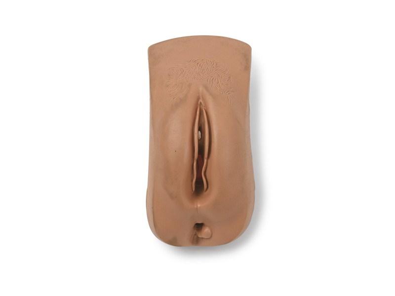 Laerdal Gen; Female-Fundus Nsg Anne