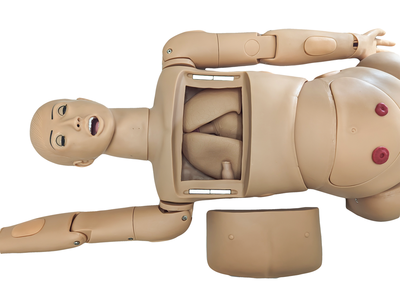 Anatomy Lab Basic Nursing Manikin