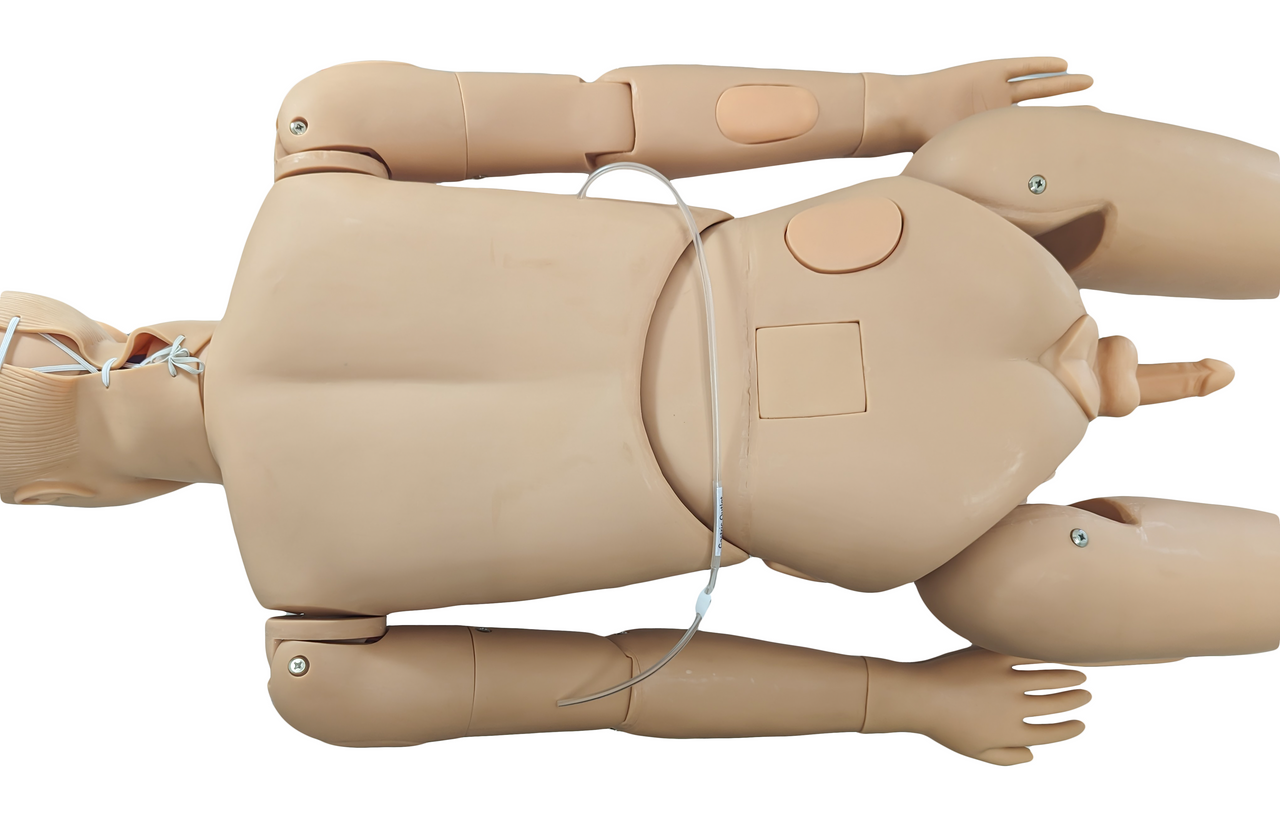Anatomy Lab Basic Nursing Manikin