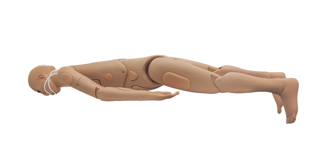 Anatomy Lab Basic Nursing Manikin