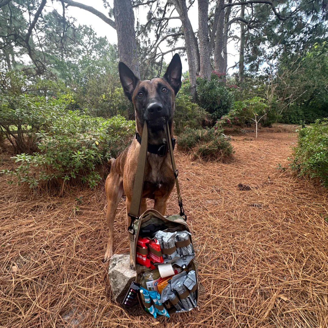 Safeguard Medical Working Dog First Aid Kit