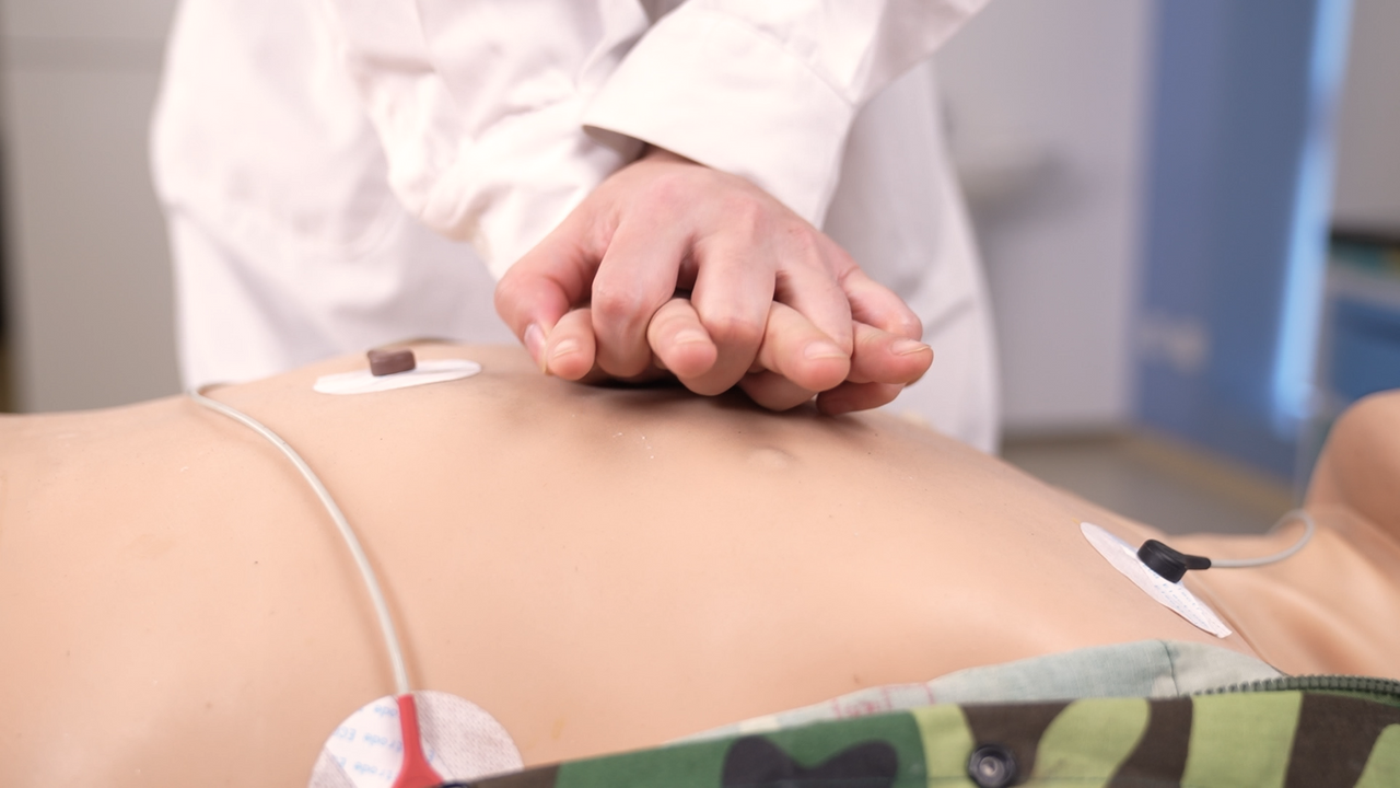 The Anatomy Lab-A-113015 Complete Clinical Skills Training Manikin, 1/EA