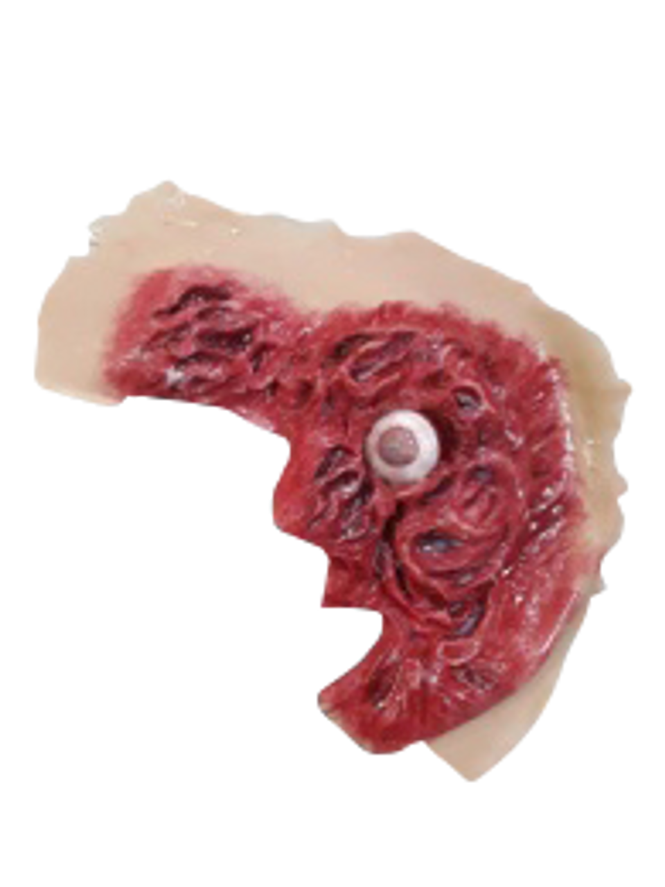 The Anatomy Lab-A-112998 CBRN Injury Moulage Kit, 1/set