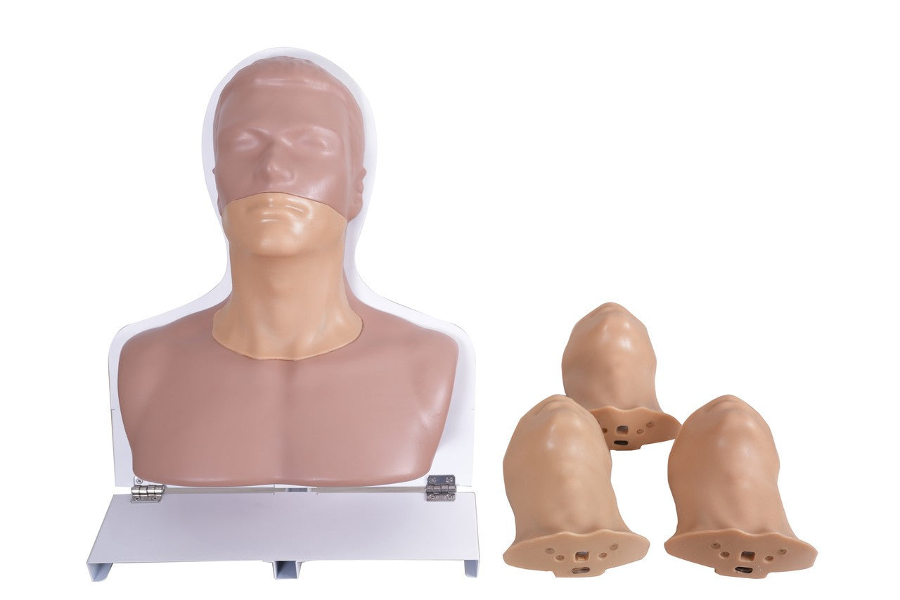 The Anatomy Lab-A-113033 Thyroid Ultrasound Training Model, 1/ea