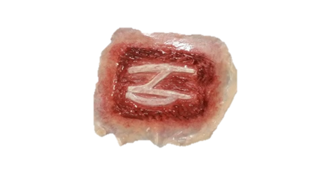 The Anatomy Lab-A-112998 CBRN Injury Moulage Kit, 1/set