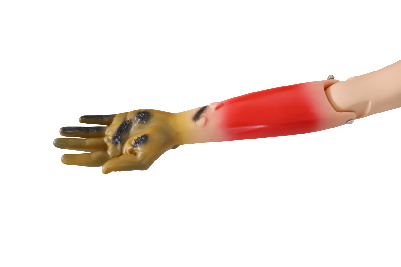 The Anatomy Lab-A-112992 Basic Combat Self-aid & Buddy-aid Manikin, 1/ea