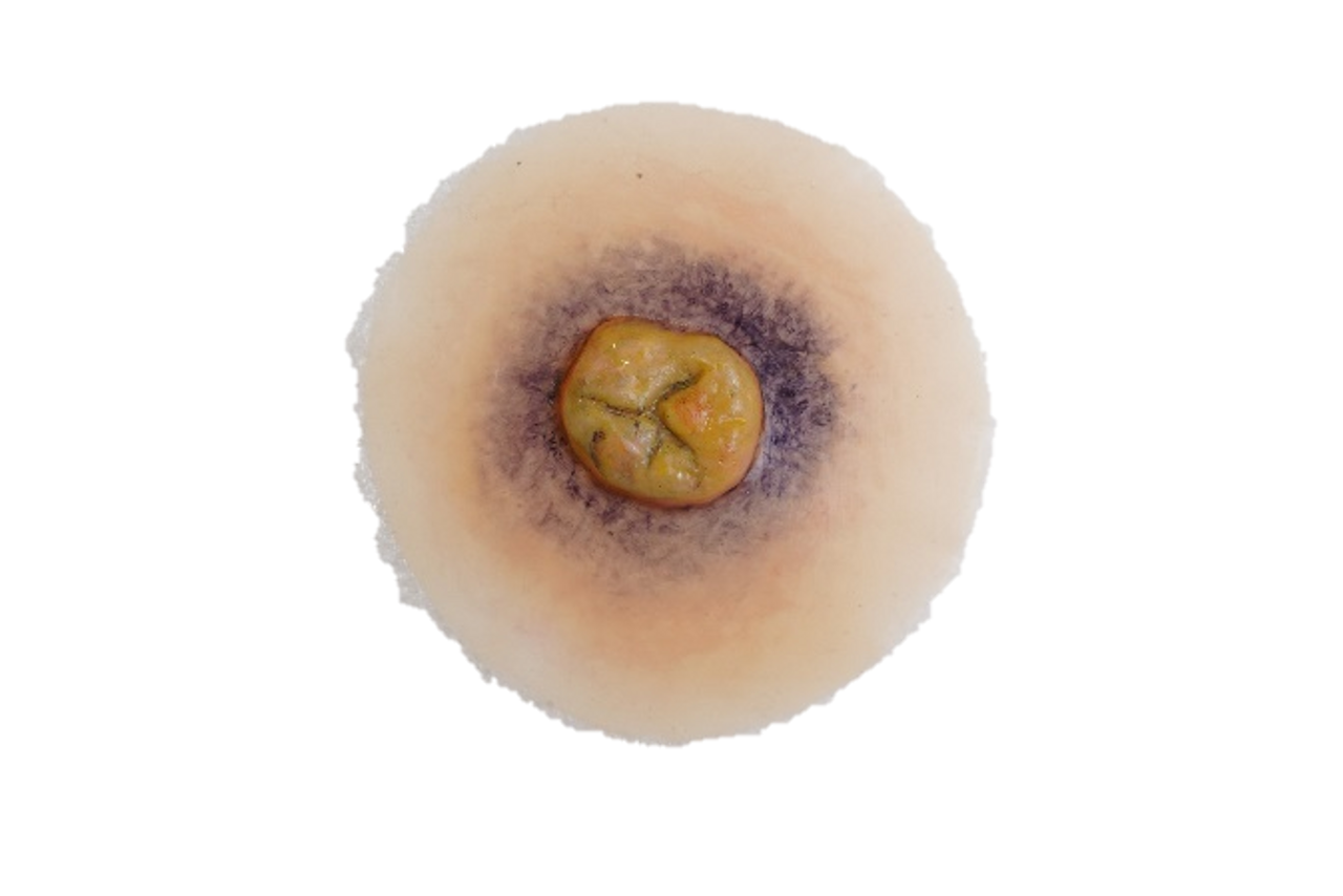 The Anatomy Lab-A-112998 CBRN Injury Moulage Kit, 1/set