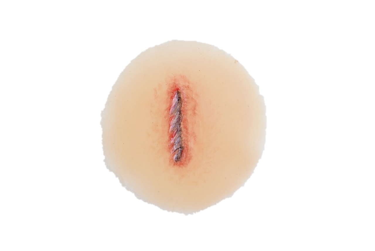 The Anatomy Lab-A-112998 CBRN Injury Moulage Kit, 1/set