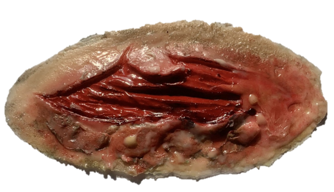 The Anatomy Lab-A-112998 CBRN Injury Moulage Kit, 1/set