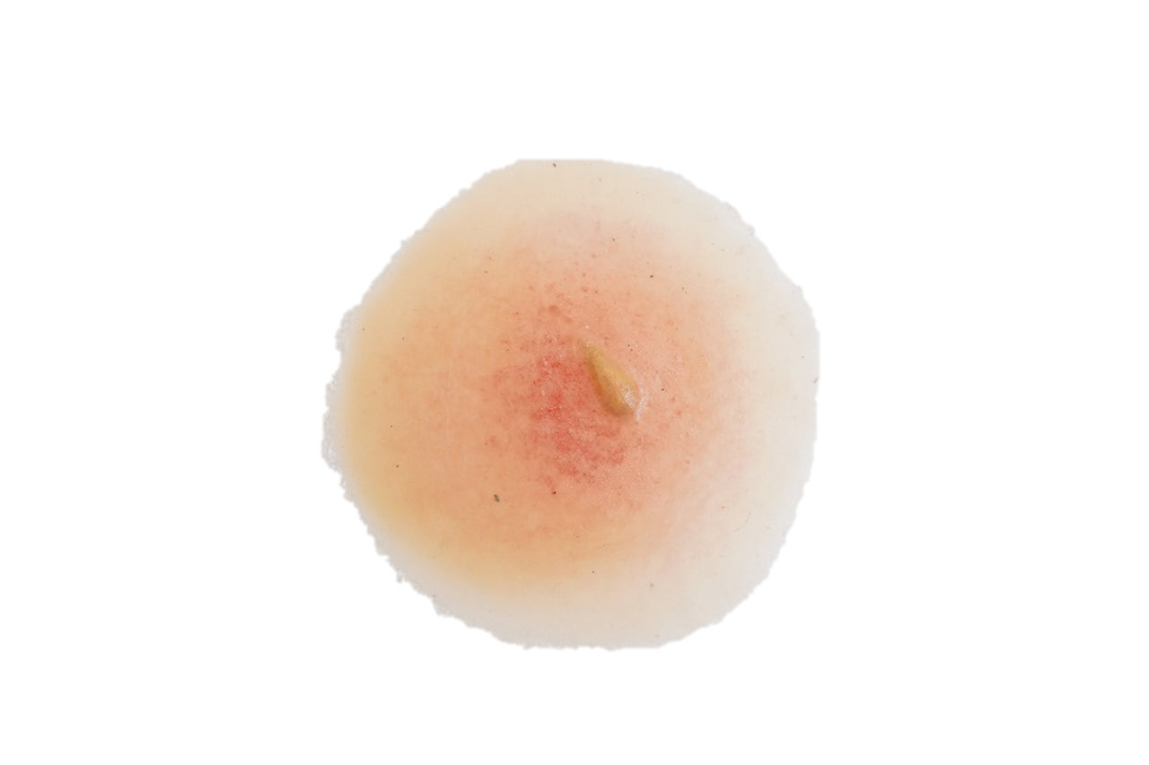 The Anatomy Lab-A-112998 CBRN Injury Moulage Kit, 1/set