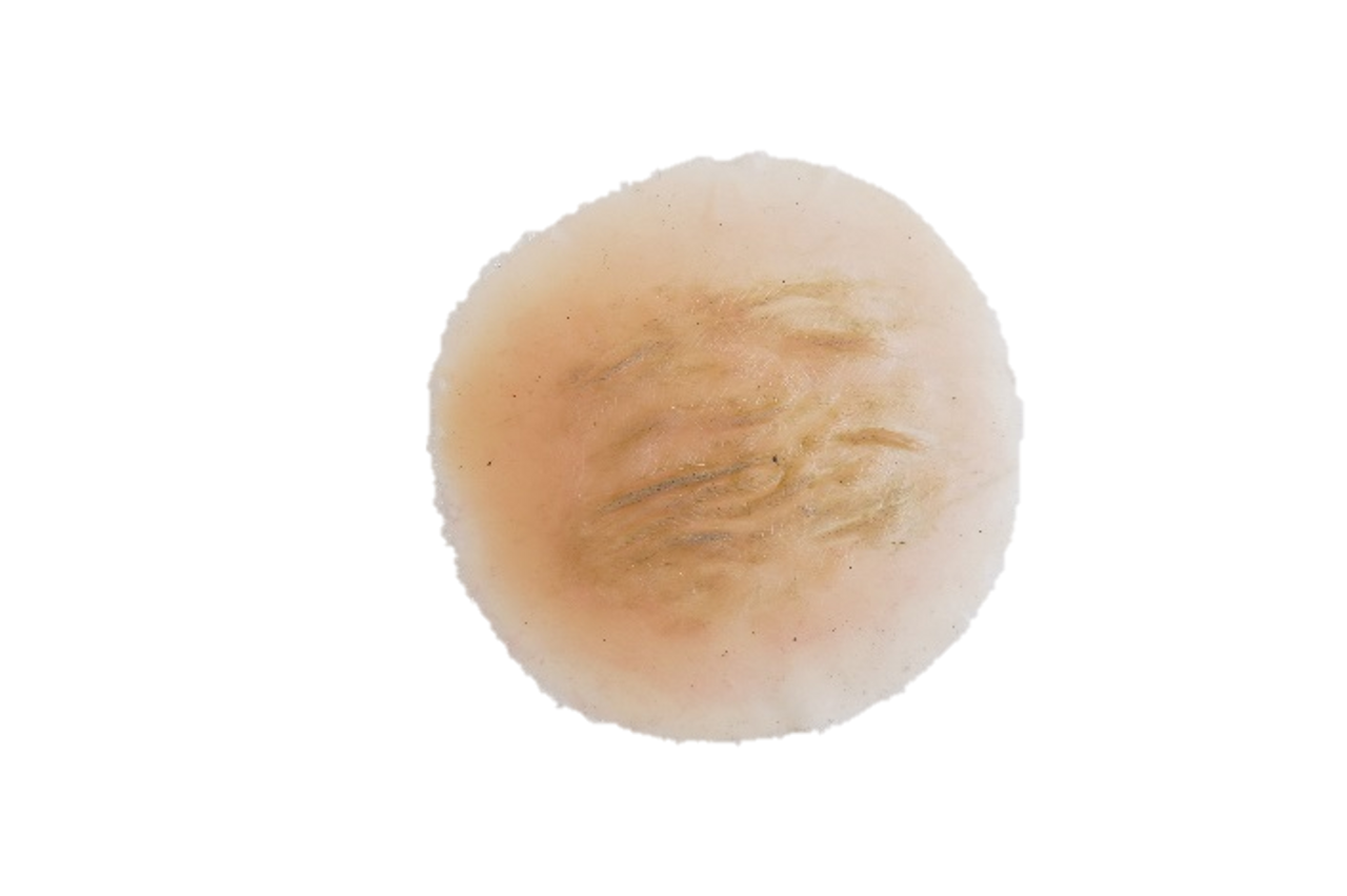 The Anatomy Lab-A-112998 CBRN Injury Moulage Kit, 1/set