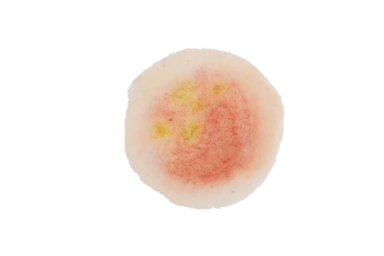 The Anatomy Lab-A-112998 CBRN Injury Moulage Kit, 1/set